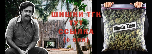 бошки Тында