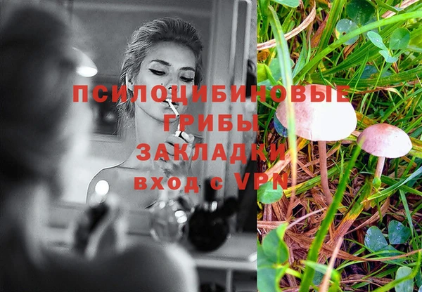 ГАЛЛЮЦИНОГЕННЫЕ ГРИБЫ Бронницы