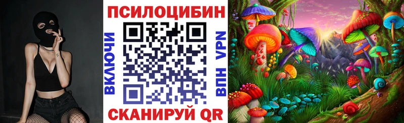 что такое наркотик  Короча  Псилоцибиновые грибы мицелий 